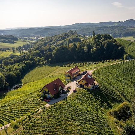 Weingut-Gaestehaus Birnstingl Gamlitz Kültér fotó