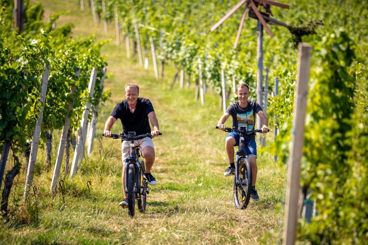 Weingut-Gaestehaus Birnstingl Gamlitz Kültér fotó