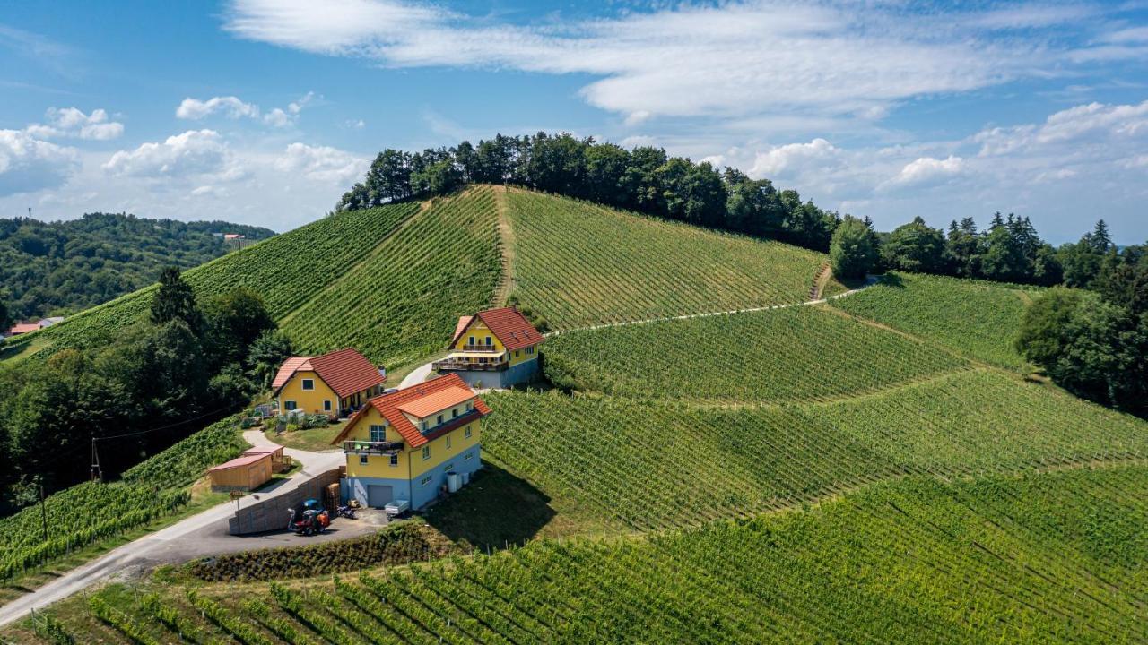 Weingut-Gaestehaus Birnstingl Gamlitz Kültér fotó