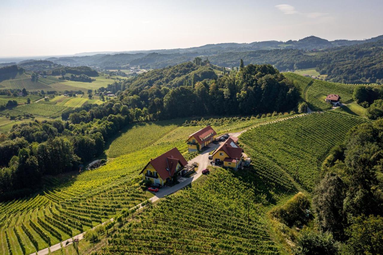 Weingut-Gaestehaus Birnstingl Gamlitz Kültér fotó